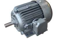 Электродвигатель 3 кВт 950 об/мин тип АО2-41-6 Лапы 220/380 В