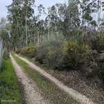 Terreno  para venda
