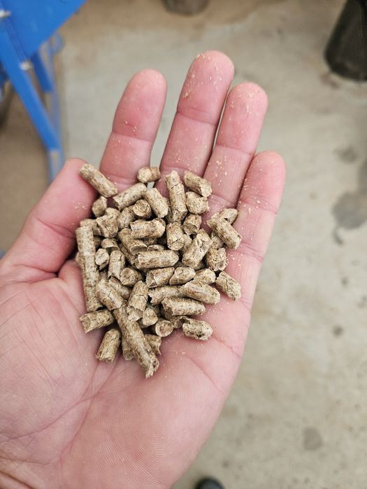 Pellet Bukowo-Olchowy 1330zl