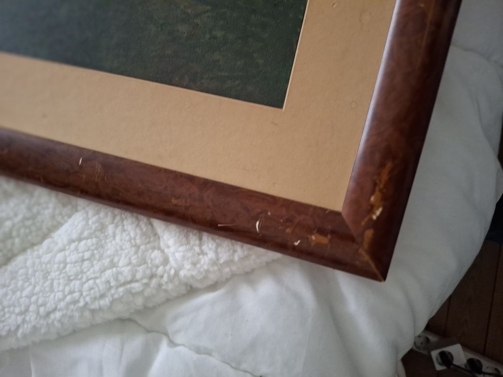 Quadro a oleo lebre assinado  f maia? Pintura