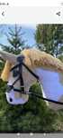 Hobby Horse Sport