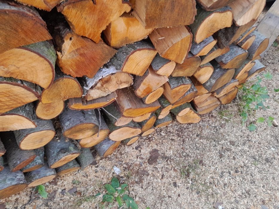 Suche drewno opałowe opał drzewo sosna brzoza olcha