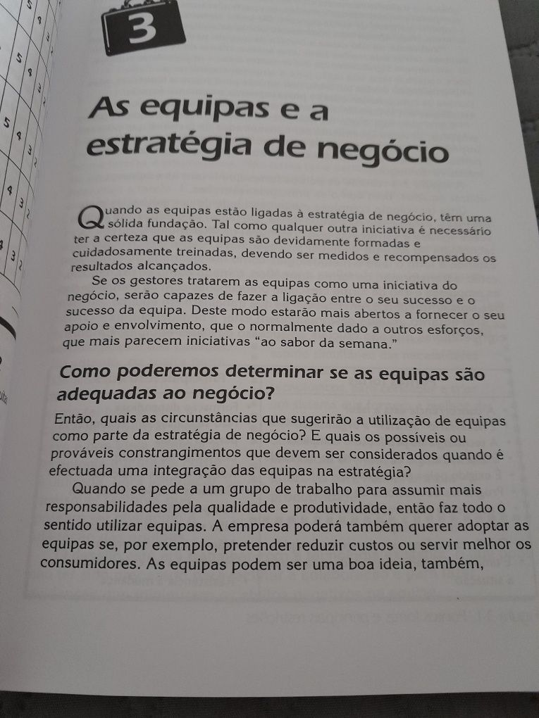 Livro Gerir Equipas