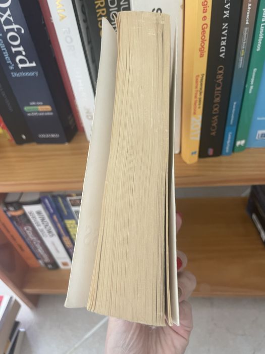Livro The King’s Mistress, Gillian Bagwell
