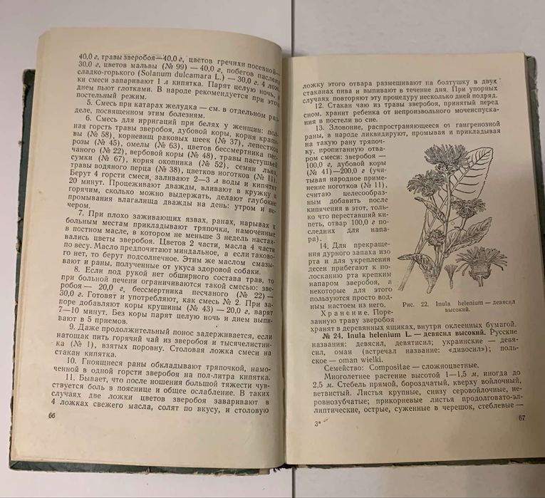 Лекарственные растения и способы их применения в народе. М. А.Носаль.
