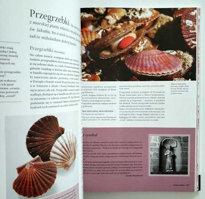 Album Ksiązka Ryby i Owoce Morza Teubner nowa