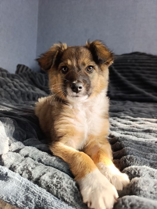 Шукає родину дівчинка