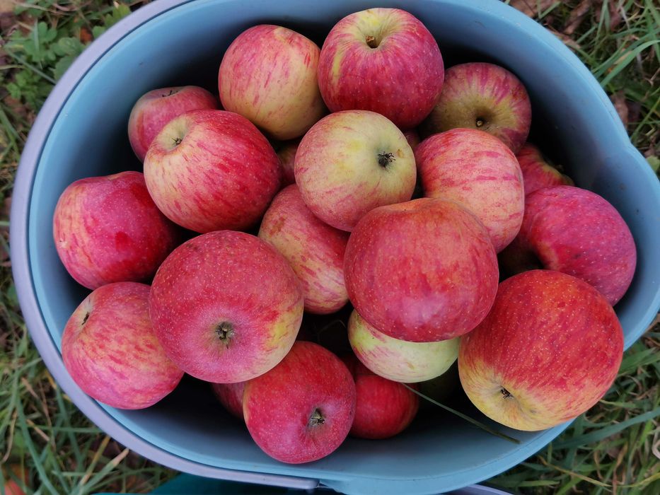 Продам натуральний яблучний сік із власного саду, без цукру