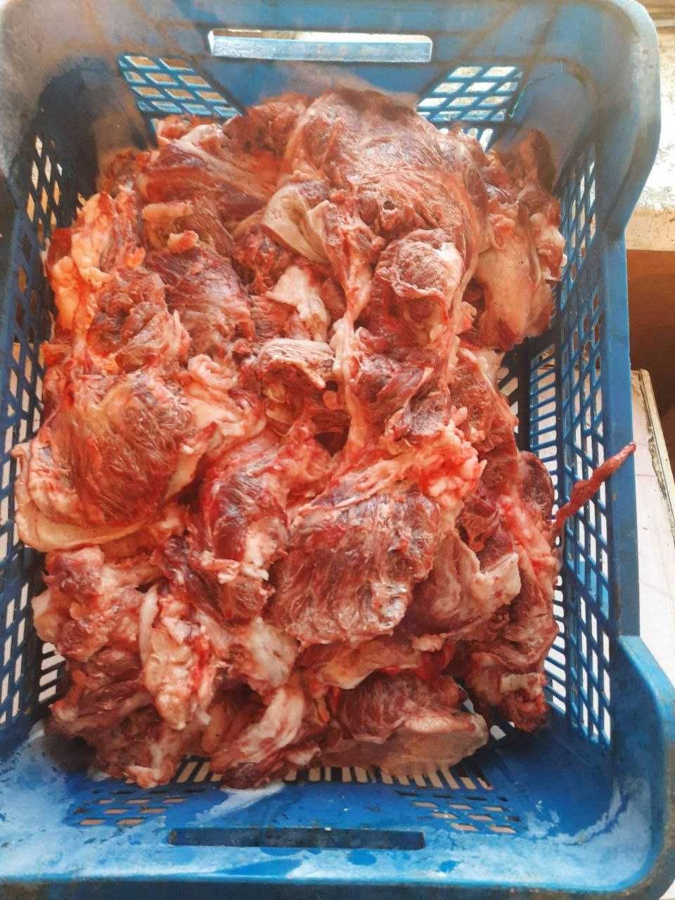 Продам м'ясо-головину. 80 грн/кг (постійно)
