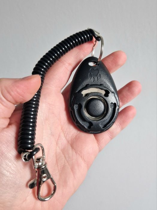 Kliker szkolenie tresura pies nauka szczeniak clicker szkoleniowy