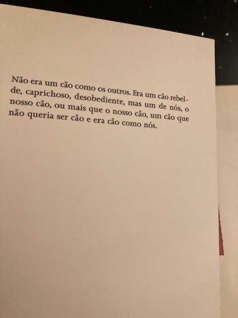 Livro Cão Como Nós de Manuel Alegre