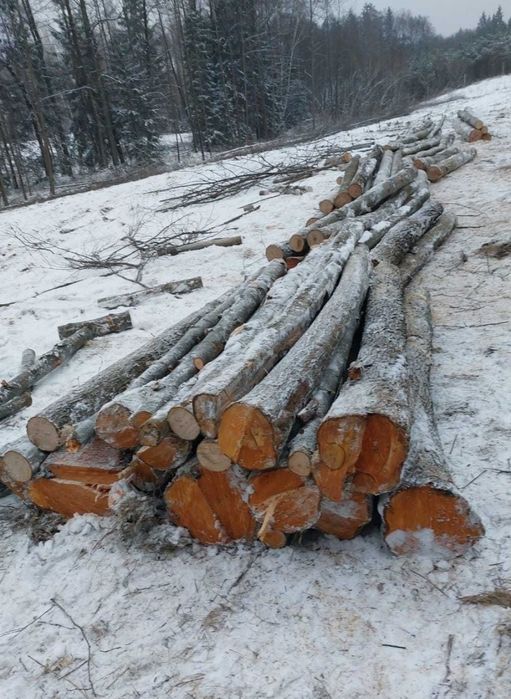Sprzedam  drewno  brzoza i olszyna  porąbane  lub w metrach