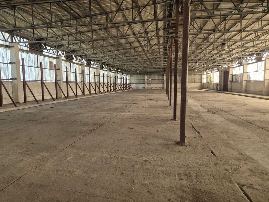 Magazyn do wynajęcia 2400 m2, Plac utwardzony - 3000 m2 w Loecknitz