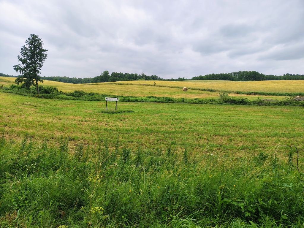 Działka nad jeziorem - Mazury