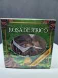 Rosa de Jericó em caixa com oração