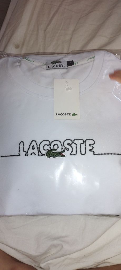 Conjunto Lacoste