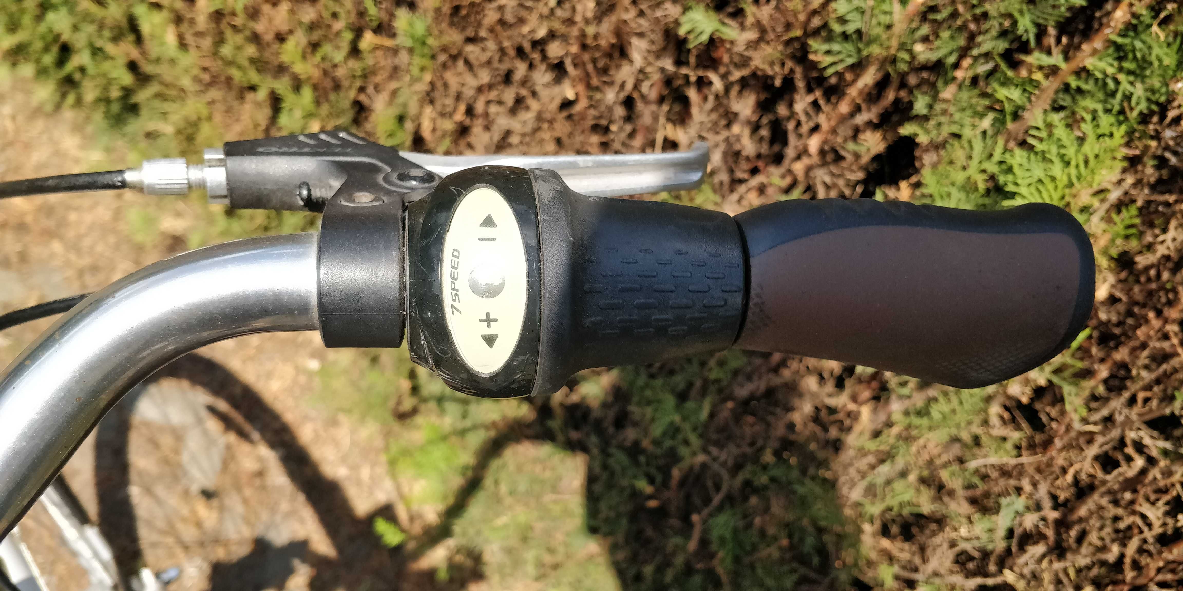 Rower - oryginalny Pegasus