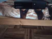 Xbox 360 gra dobrym