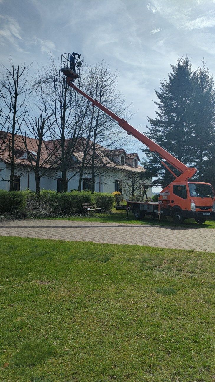 Wycinka drzew, usługi podnośnikiem koszowym, zwyżka 21m