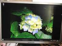 Samsung Sync Master 920NW 19 cali monitor