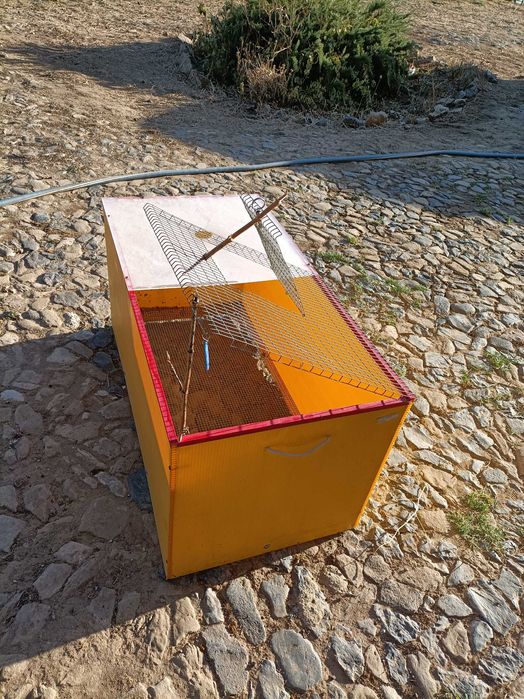 Criadeira Chick Max 100x50 cm (Com acessórios)