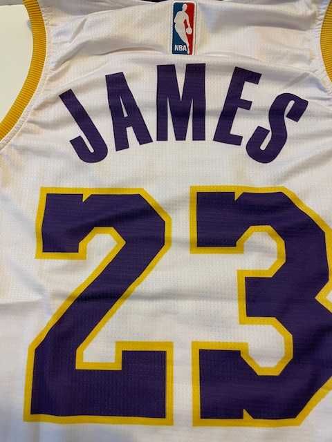 Koszulka koszykarska Los Angeles Lakers LeBron James Nike S