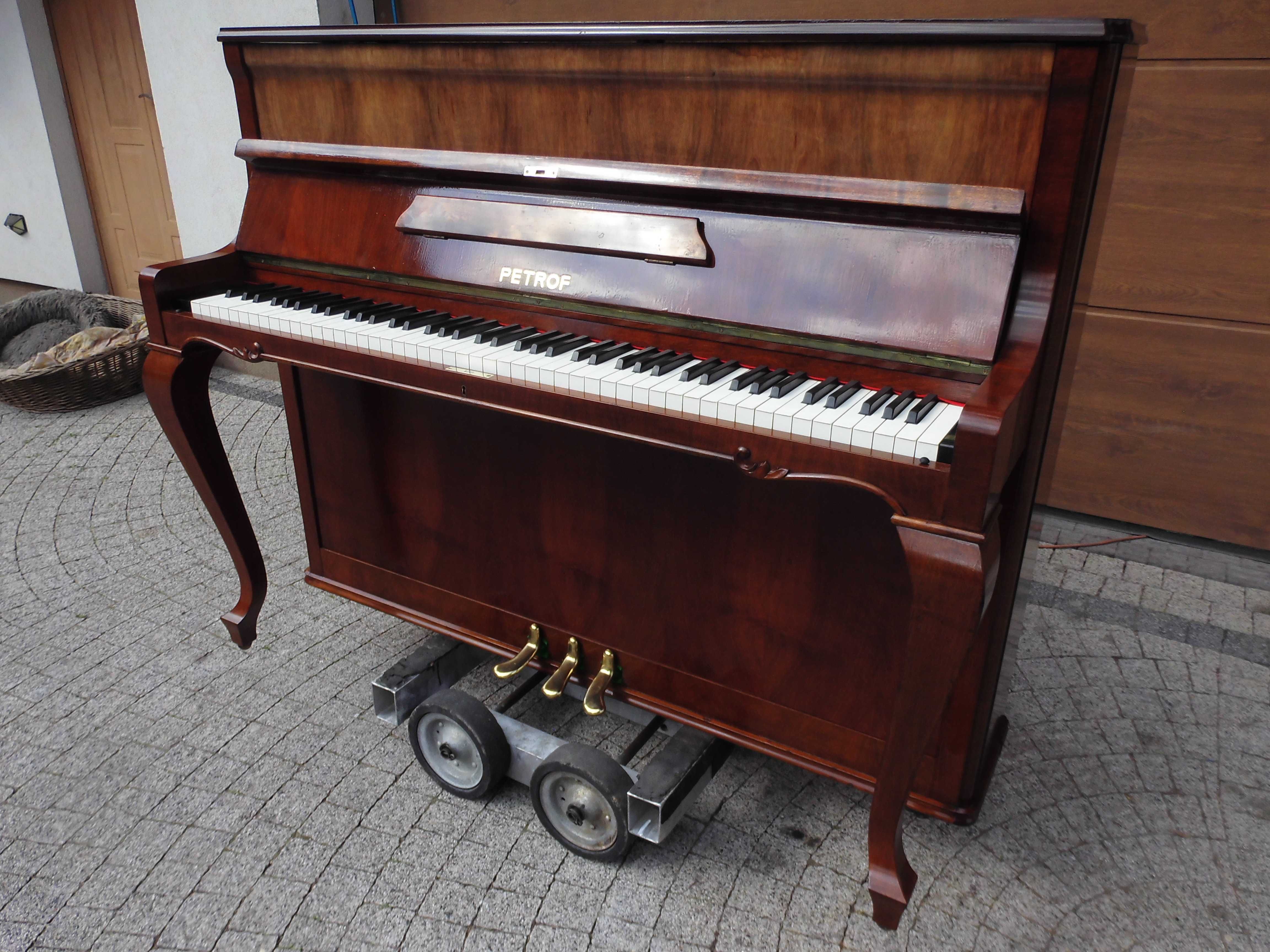 Pianino stylowe Petrof M112 w pieknym orzechu lata 70 na gotowo