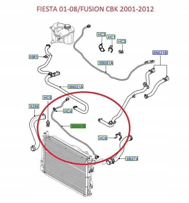 NOWY przewód nadmiaru płynu chłodzącego FIESTA FUSION OE 5S6Y-8C012-BB