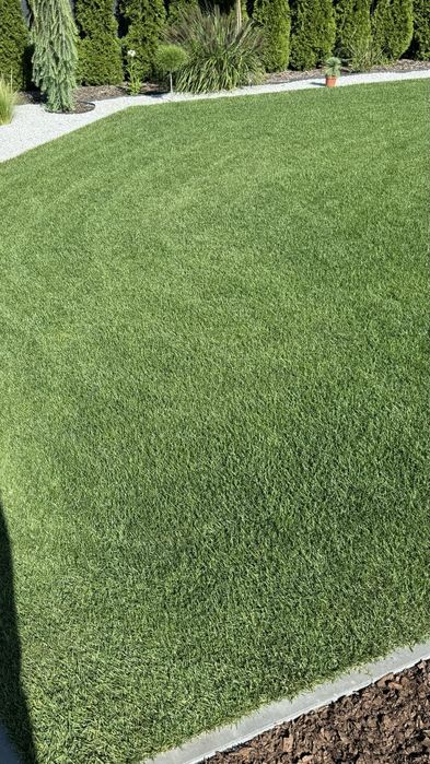 Producent Trawa z rolki POZNAŃ