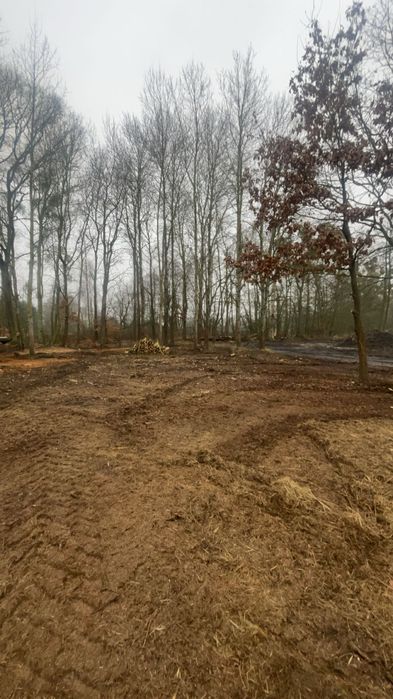 Czyszczenie działek, wycinka drzew,itp…