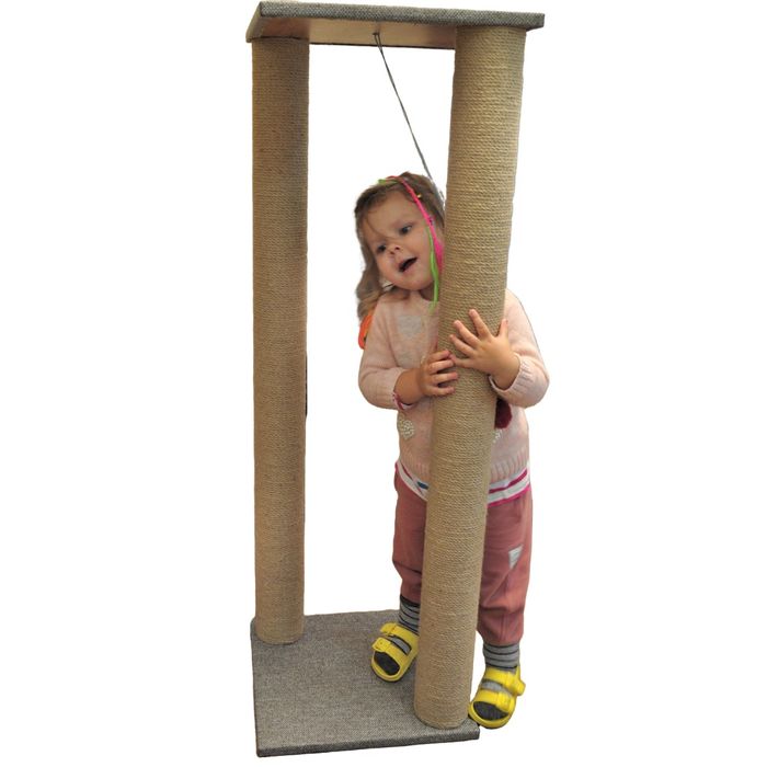 Велика кігтеточка, когтеточка