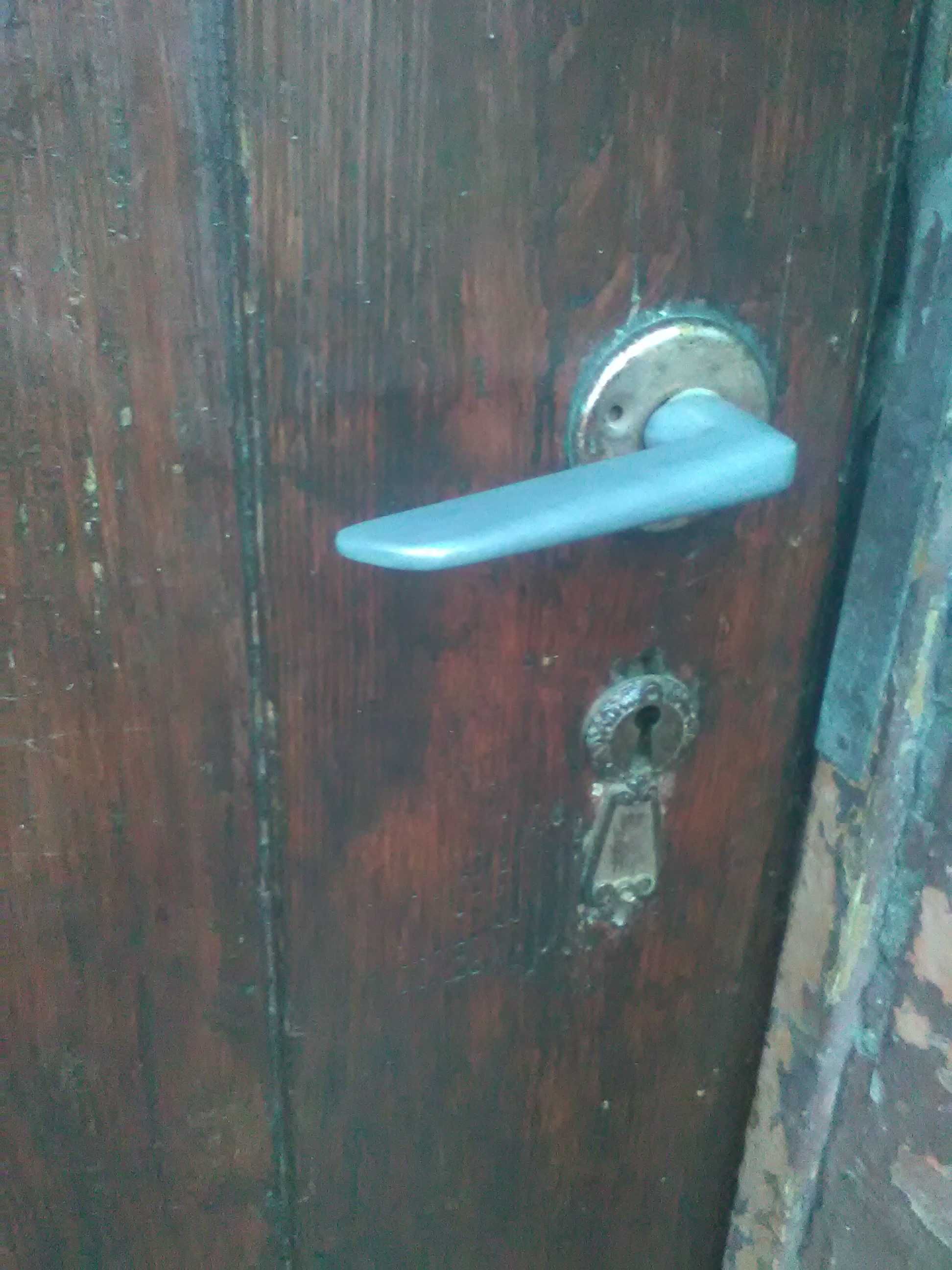Drzwi wejściowe Brama Dąb-Polecam