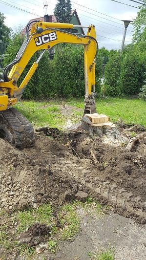 Wycinka drzew, frezowanie pni, usuwanie pni, wynajem rębaka do gałęzi.