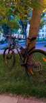 Велосипед Specialized Rockhopper 29 M, найнер, трейл, кроссантрі, XC