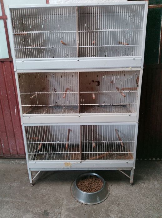 Várias Gaiolas para aves