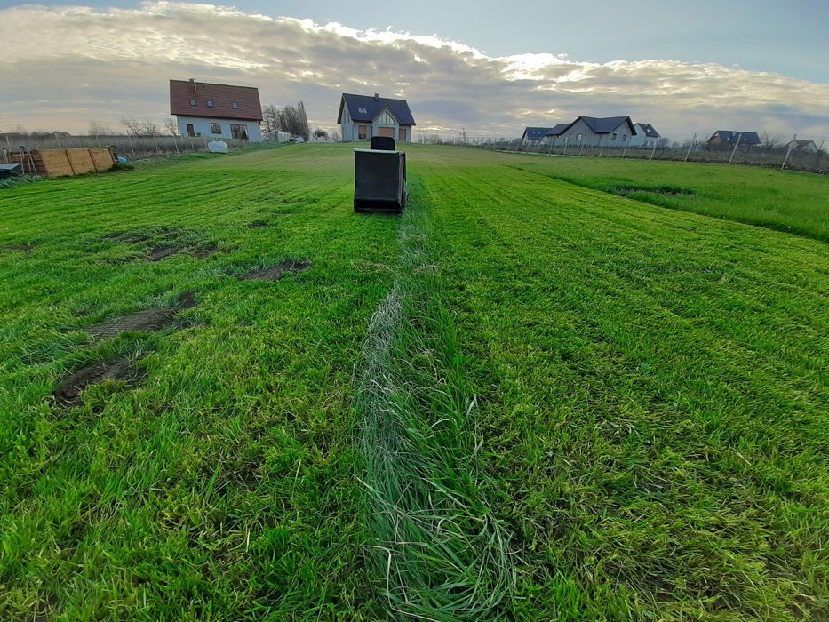 Wycinka samosiejek I koszenie trawy