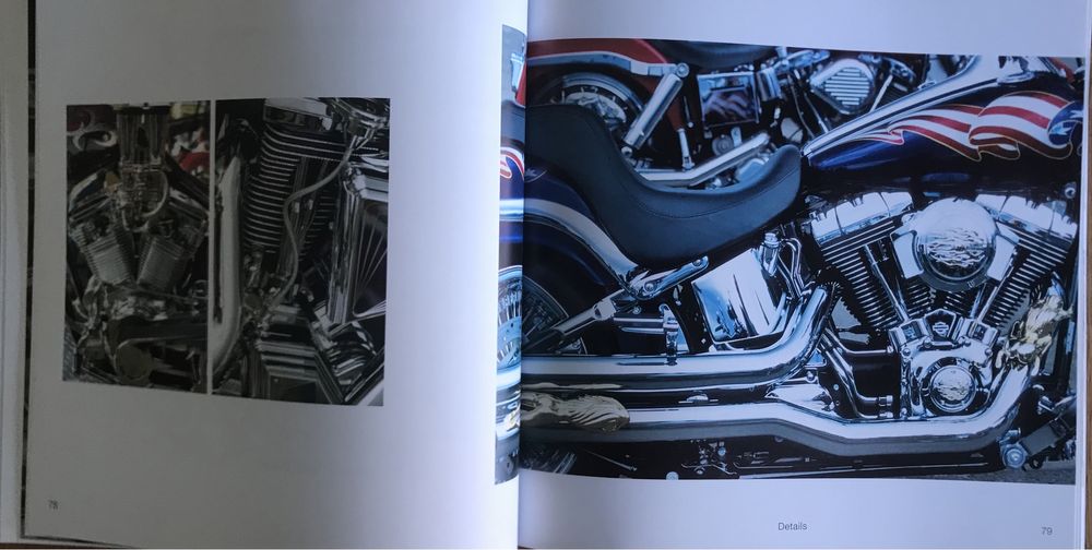 Custom Motorcycles - Miguel Tres