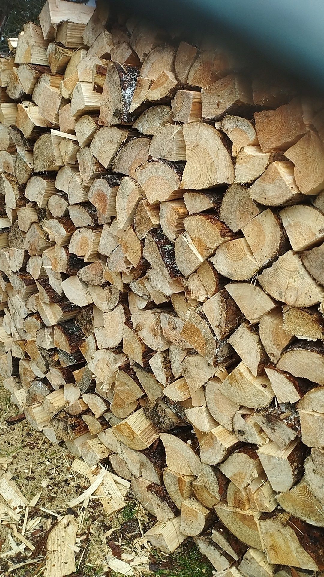 Sprzedam sosnę  przesuszoną