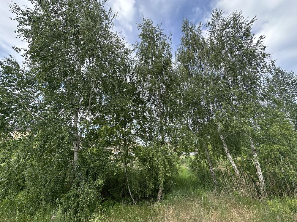 Продаж ділянки на ВОДУ 50 соток КМ Montana Village Козин, Конча-Заспа