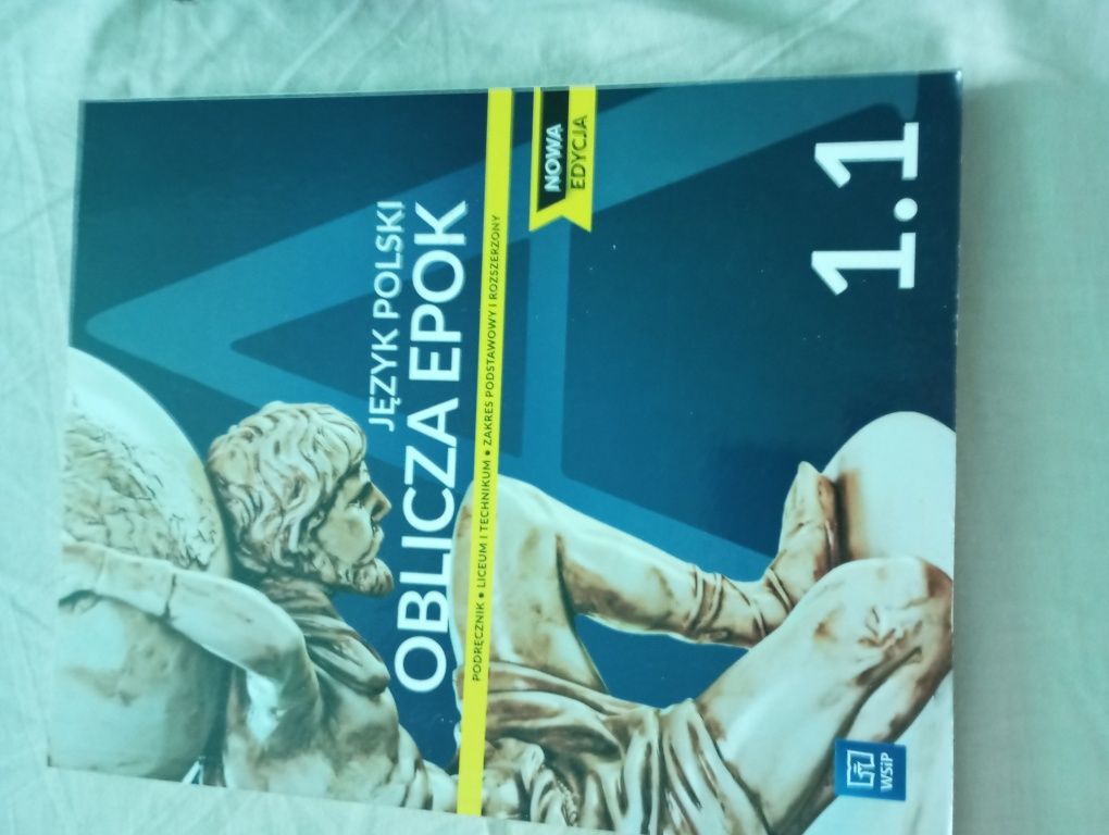 Podręcznik do języka polskiego Klasa 1 wyd. WSiP
