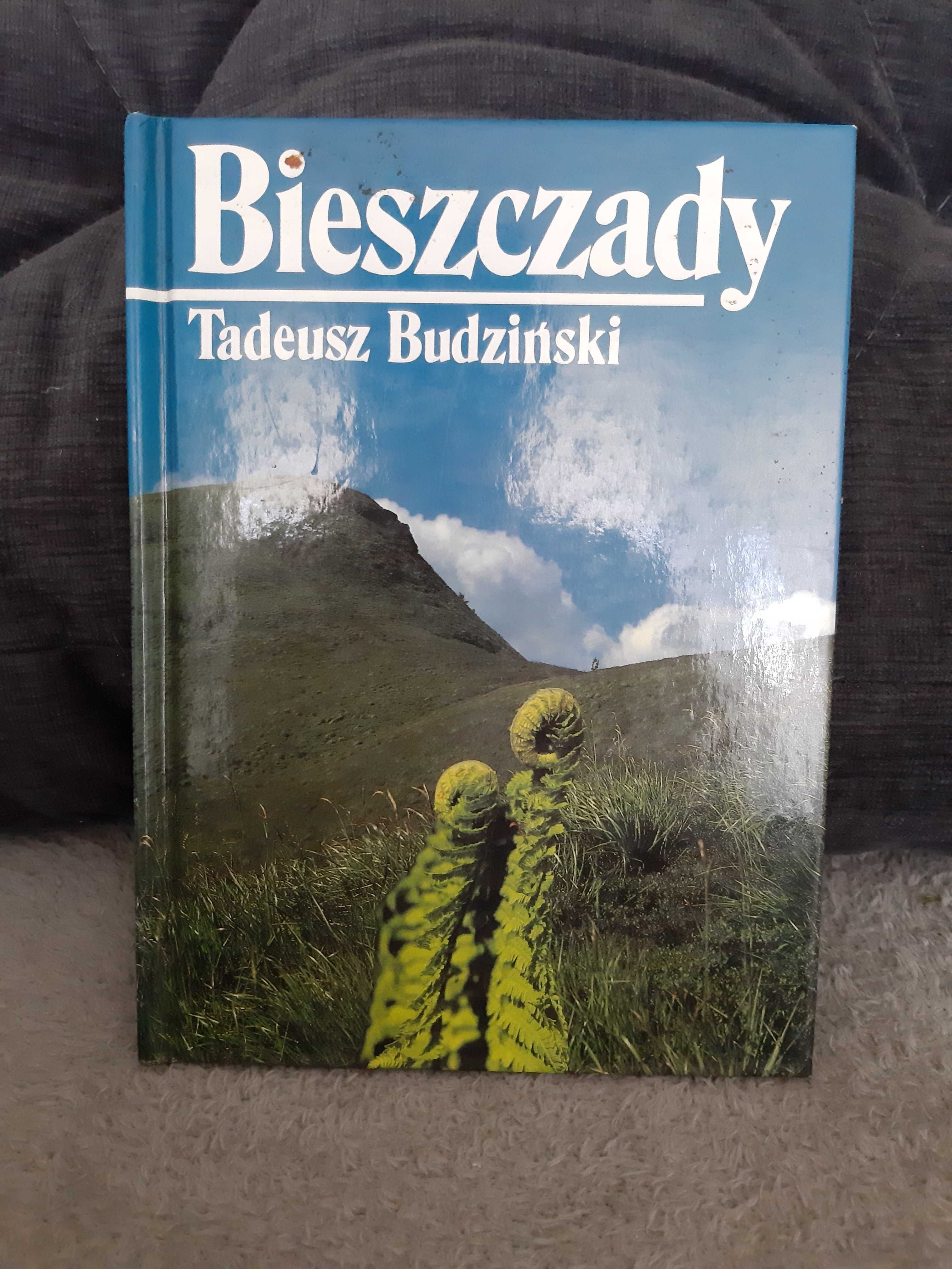 T. Budziński " Bieszczady "