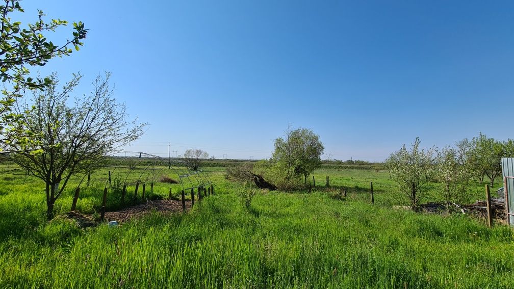 Чабанівка ділянка будинок 0.44га