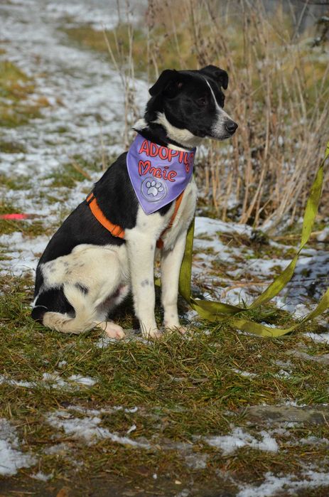 Nieśmiały Magni marzy o opiekunie z sercem i cierpliwością