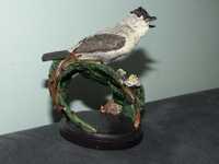 Ptaki - Kapturka -The Country Bird Collection - Vogelwelt Collection