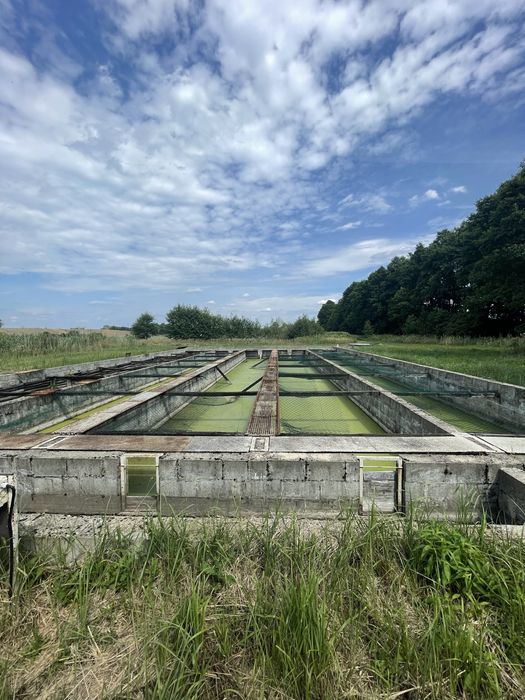 Stawy Hodowlane 50 ha - ogrodzone