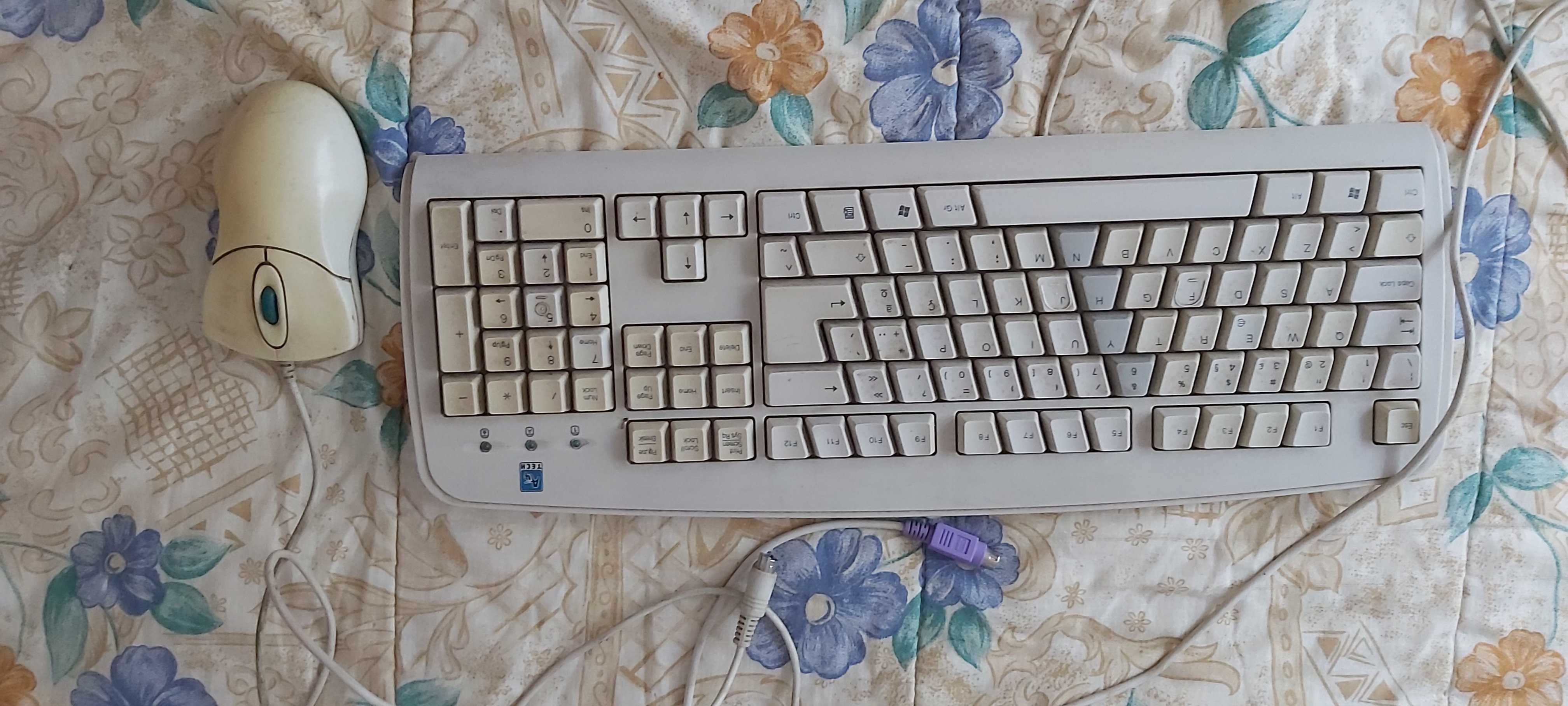 Teclado e rato p