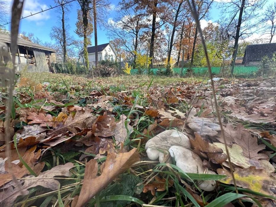 Продаж 4,4 сотки під забудову центр Ворзеля є світло, вода