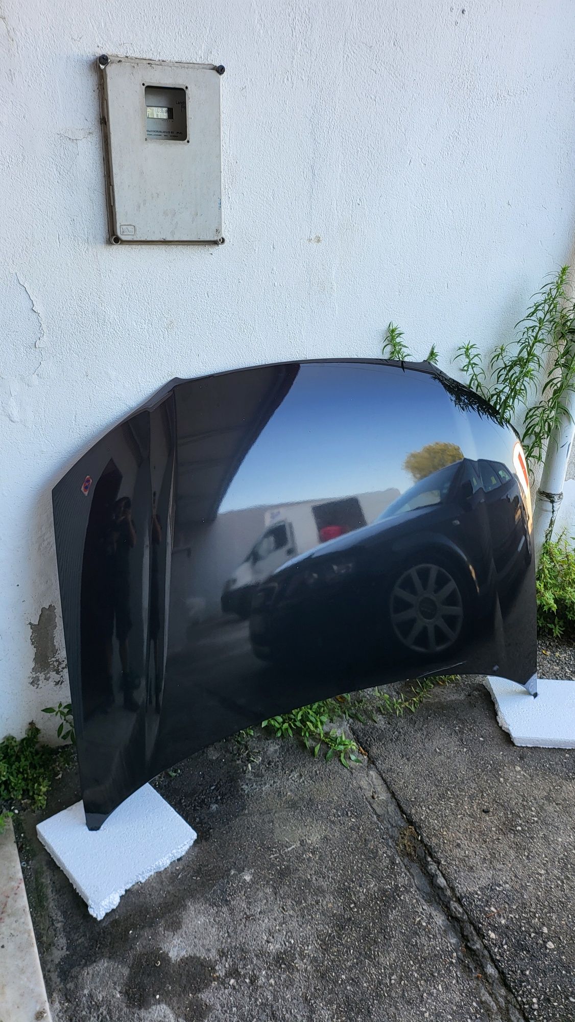 Capot Audi A3 8P 2008