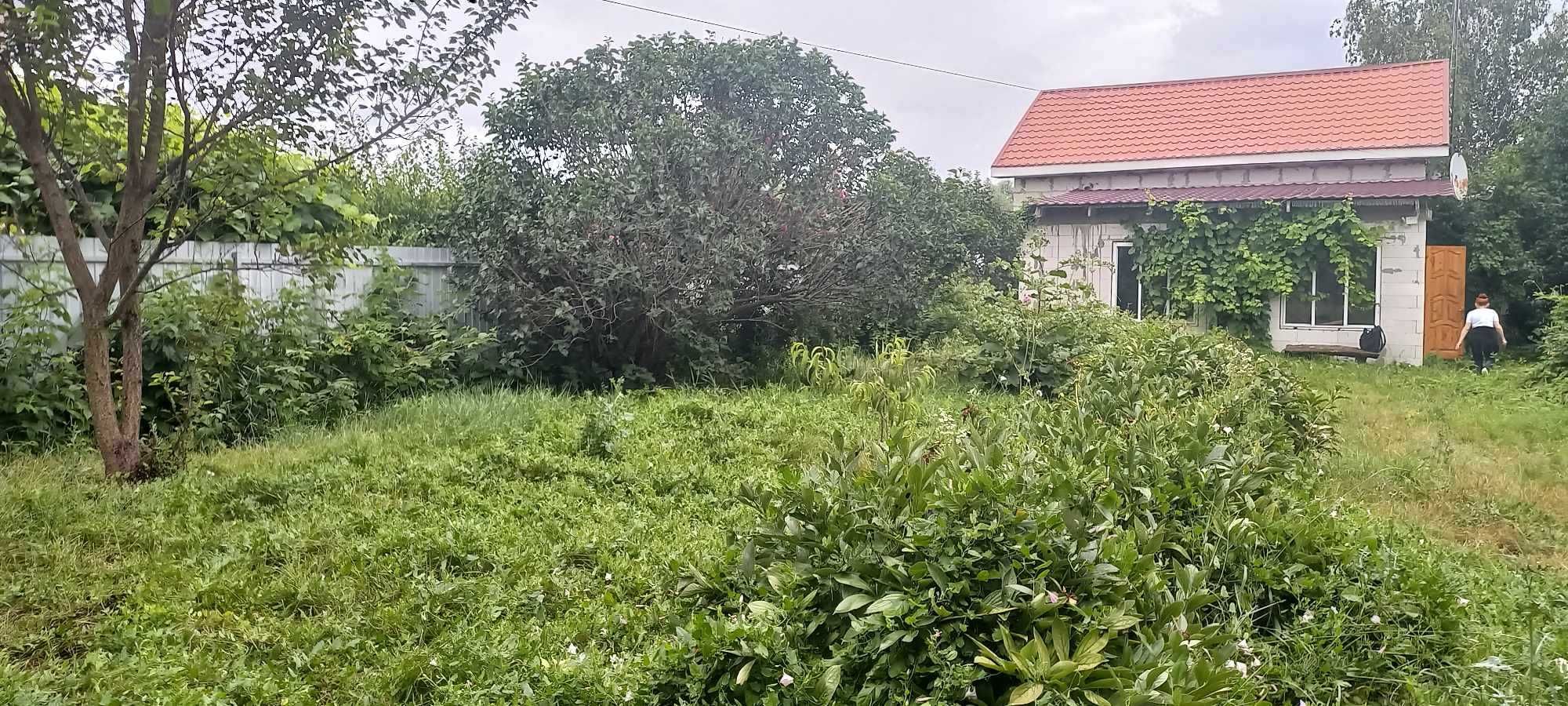 Продам Дачу 105 кв.м с/т Стугна   Старые Безрадичи   м.Выдубичи