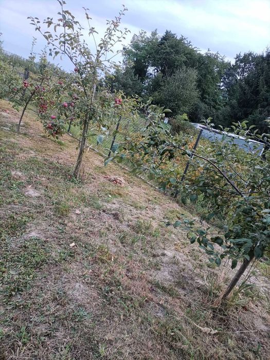 Działka budowlana ul.Kalinowa